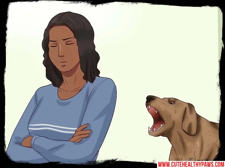 24 tips to stop the dog's annoying barking Cute Healthy Paws