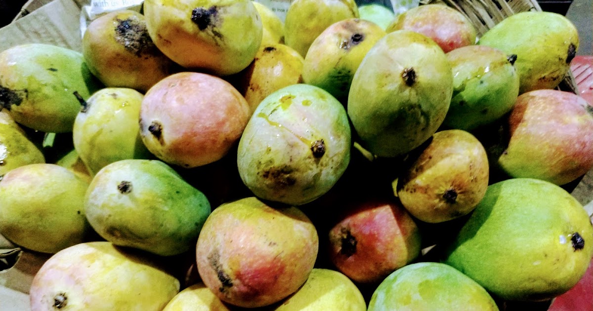 The Mangoes and Kids