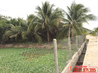 Bán nhà vườn Diên Lộc, Diên Khánh giá 1.35 triệu/m2 DT 7233m2 Z1759419518482_bd731a4898dfea729f7a41361a7d0ecc