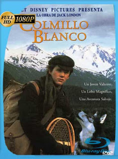 Colmillo Blanco (1991) HD [1080p] Latino [GoogleDrive] SXGO