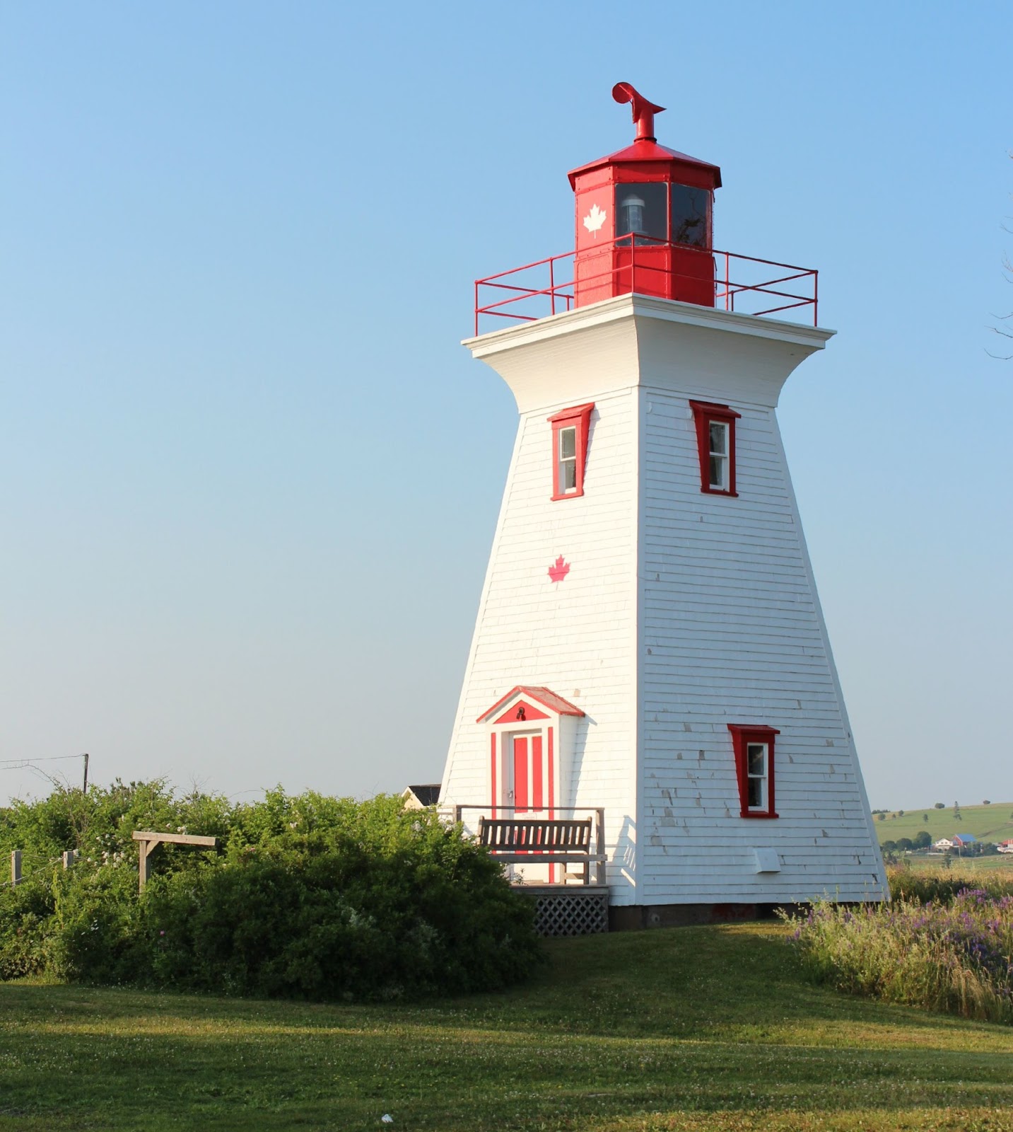 Digging for Clams in Prince Edward Island