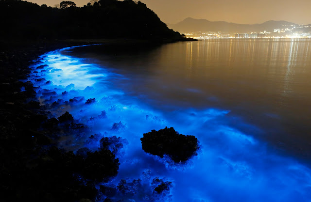 9 Strangest Ocean Phenomena You Wouldn't Believe Actually Exists!
