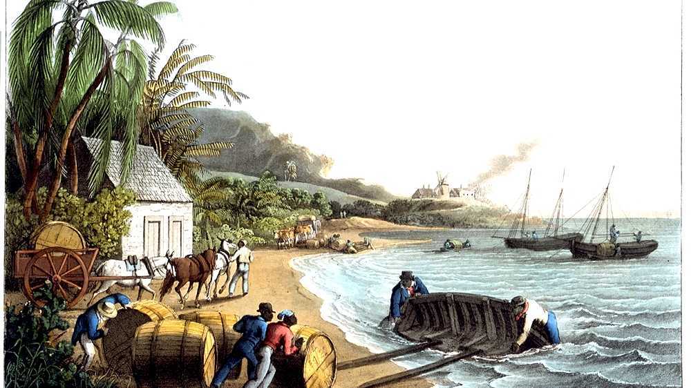 Colonial molasses trade