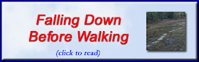 http://mindbodythoughts.blogspot.com/2016/01/falling-down-before-you-learn-to-walk.html