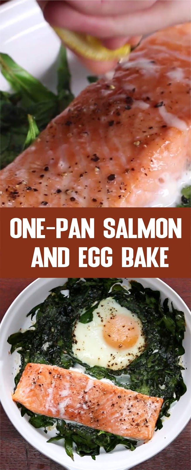 OnePan Salmon And Egg Bake Smity olivia