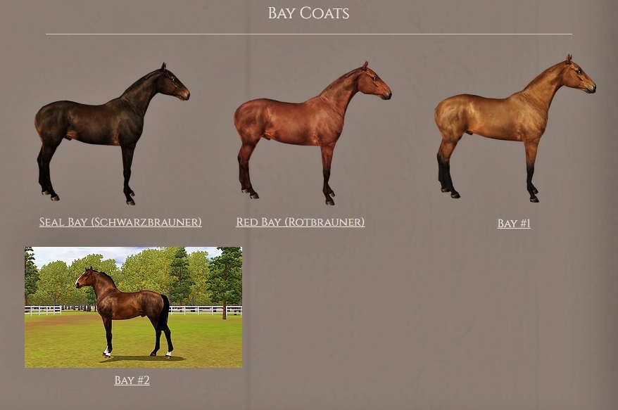 Equus CCDatabase Bay Coats