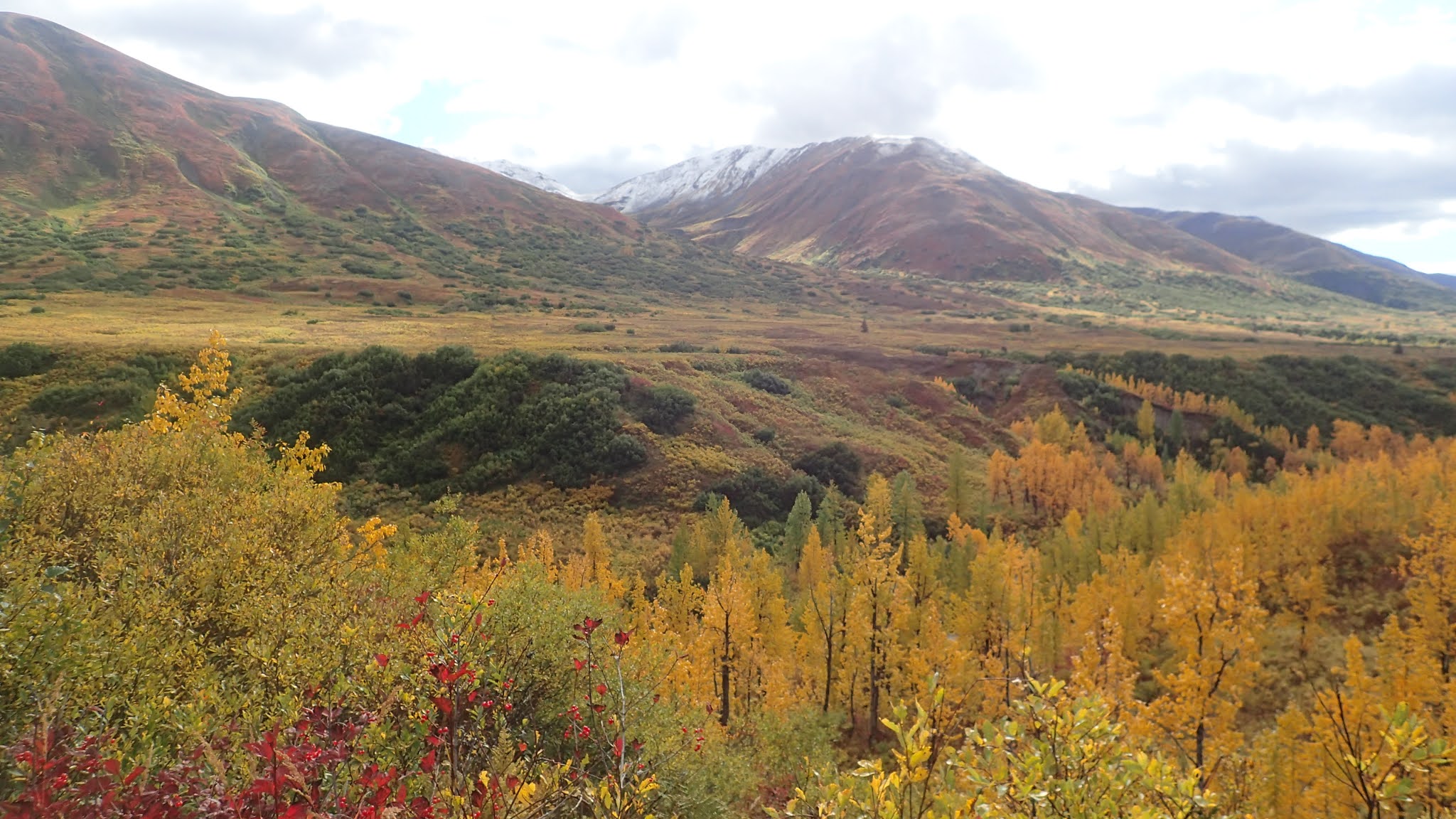 Not Quite Over the Hill Perfect Timing on the Petersville Road