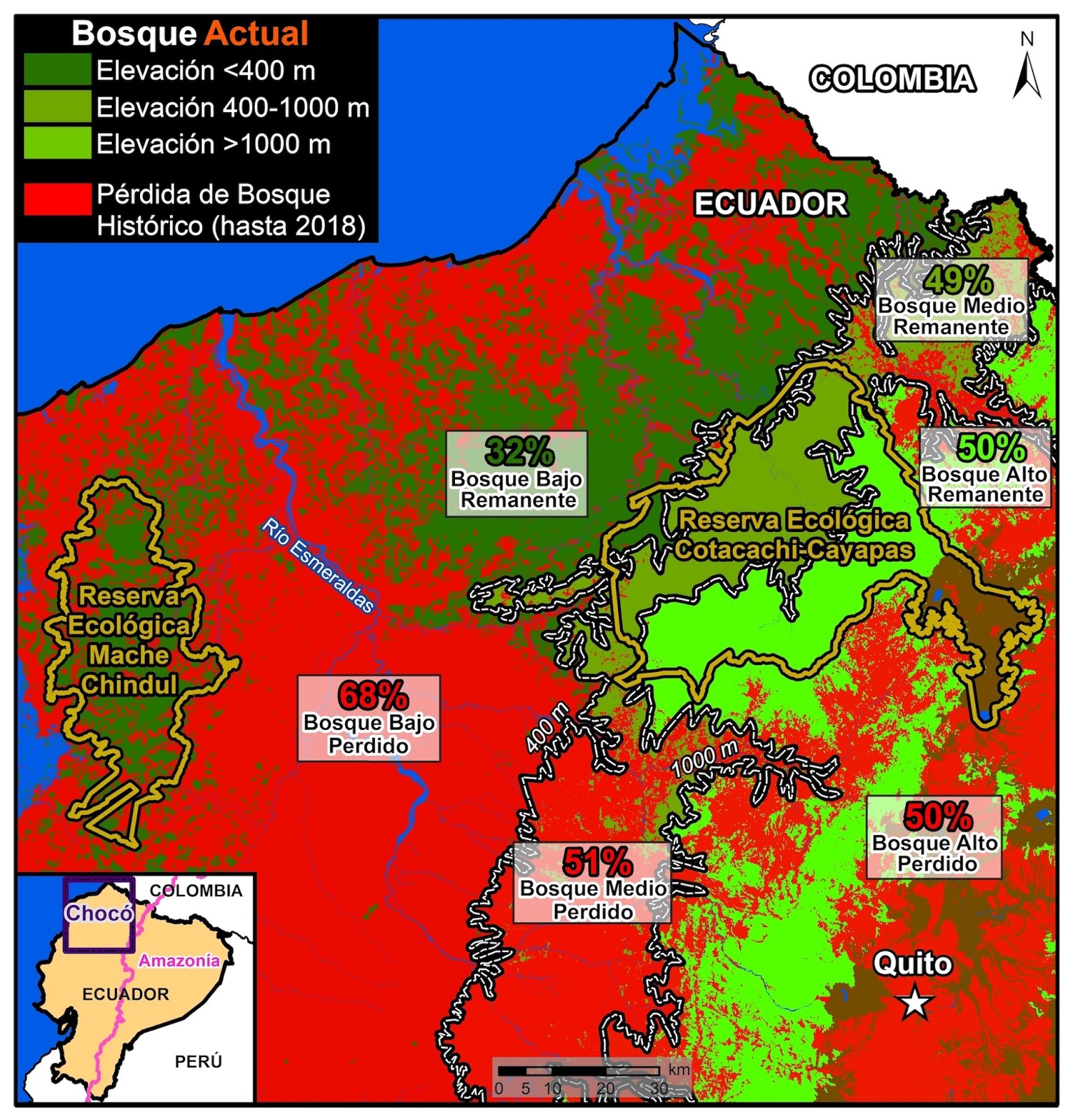LOS BOSQUES DEL CHOCÓ LA PÉRDIDA CONTINUA DE LOS BOSQUE DEL CHOCÓ