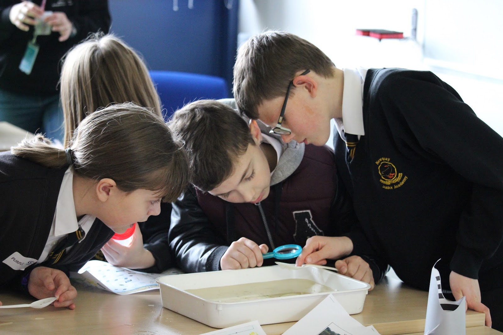 NEWQUAY NEWS College experience for young scientists