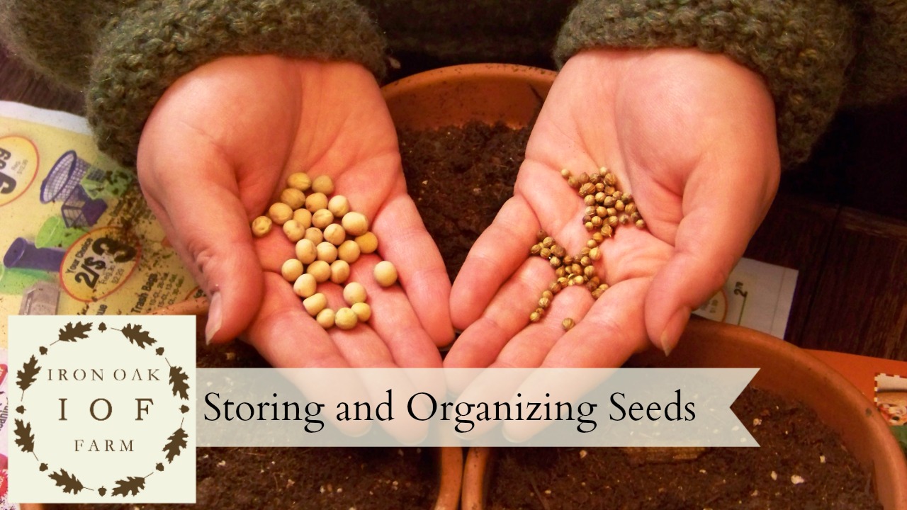 Iron Oak Farm Storing and Organizing Seeds Video