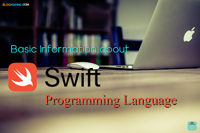 : Basics Guide For Beginners