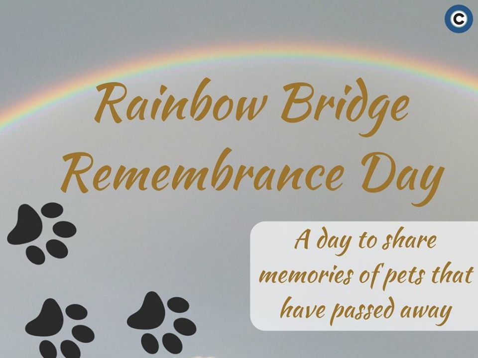 Rainbow Bridge Remembrance Day