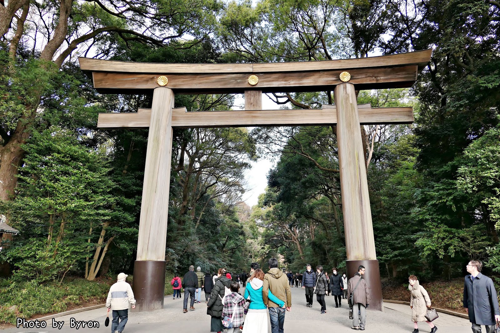 明治神宫_东京旅游官方网站GO TOKYO