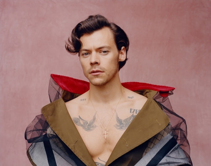 Harry Styles 2020 Vogue Cover