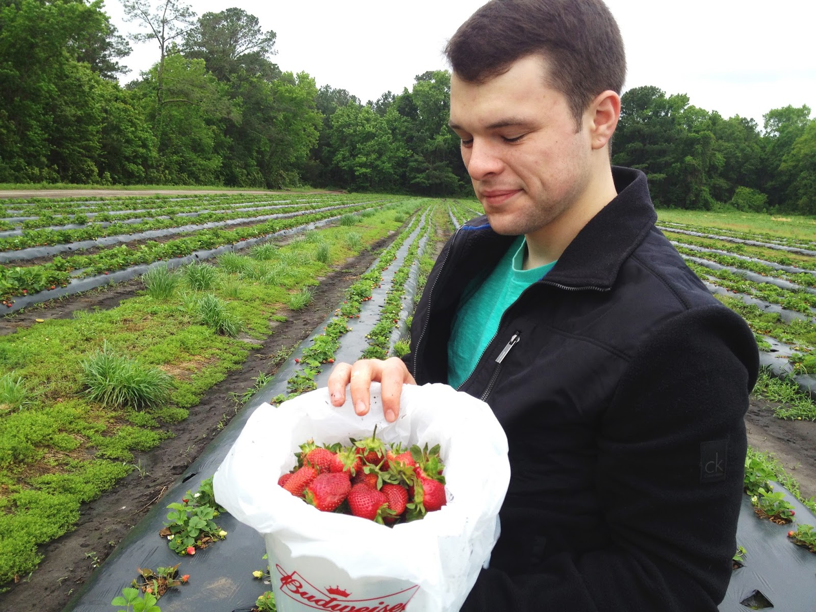 The Ink & Anchor Charleston Strawberry Picking