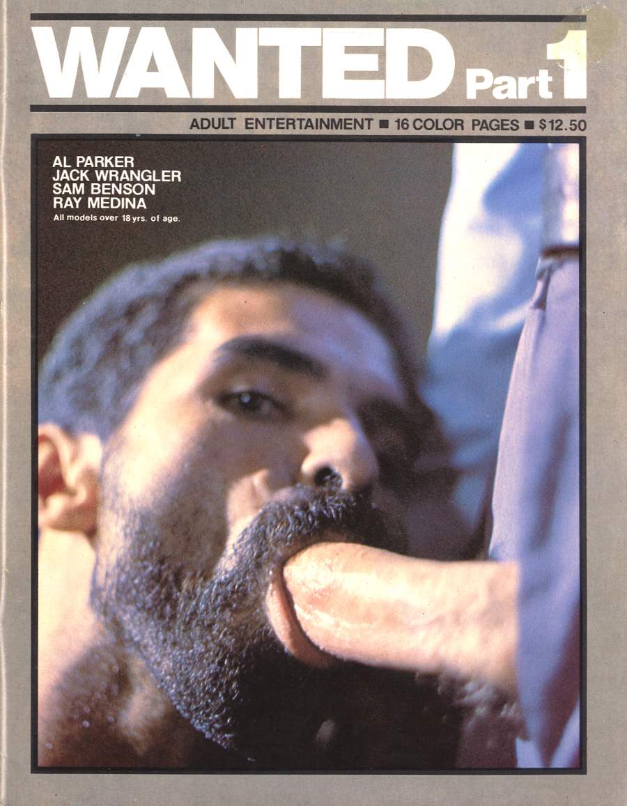 Gay Vintage Porn Magazines - Gay Bear and Vintage Porn Shrine: Vintage magazine #1: Wanted