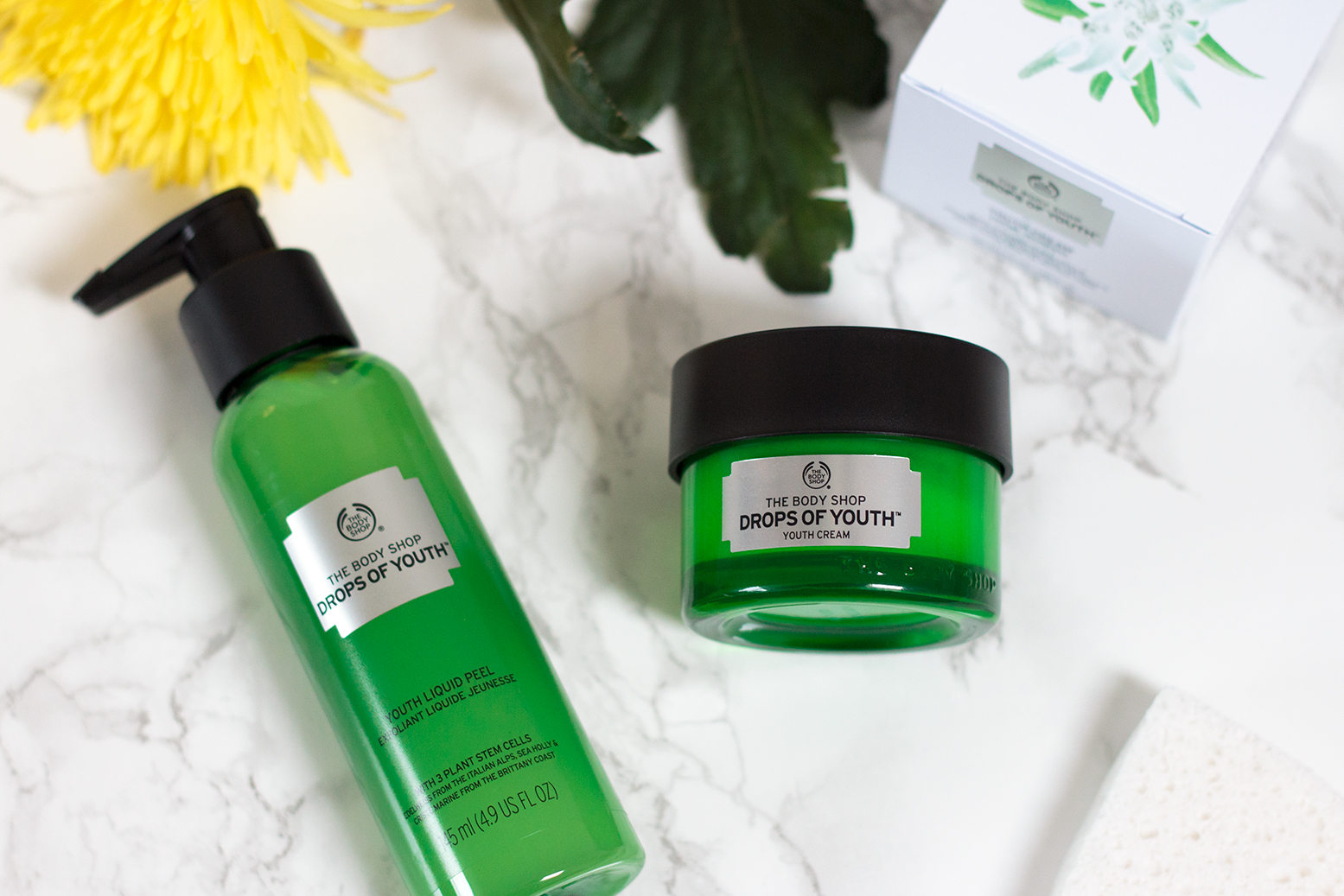 the body shop the body shop