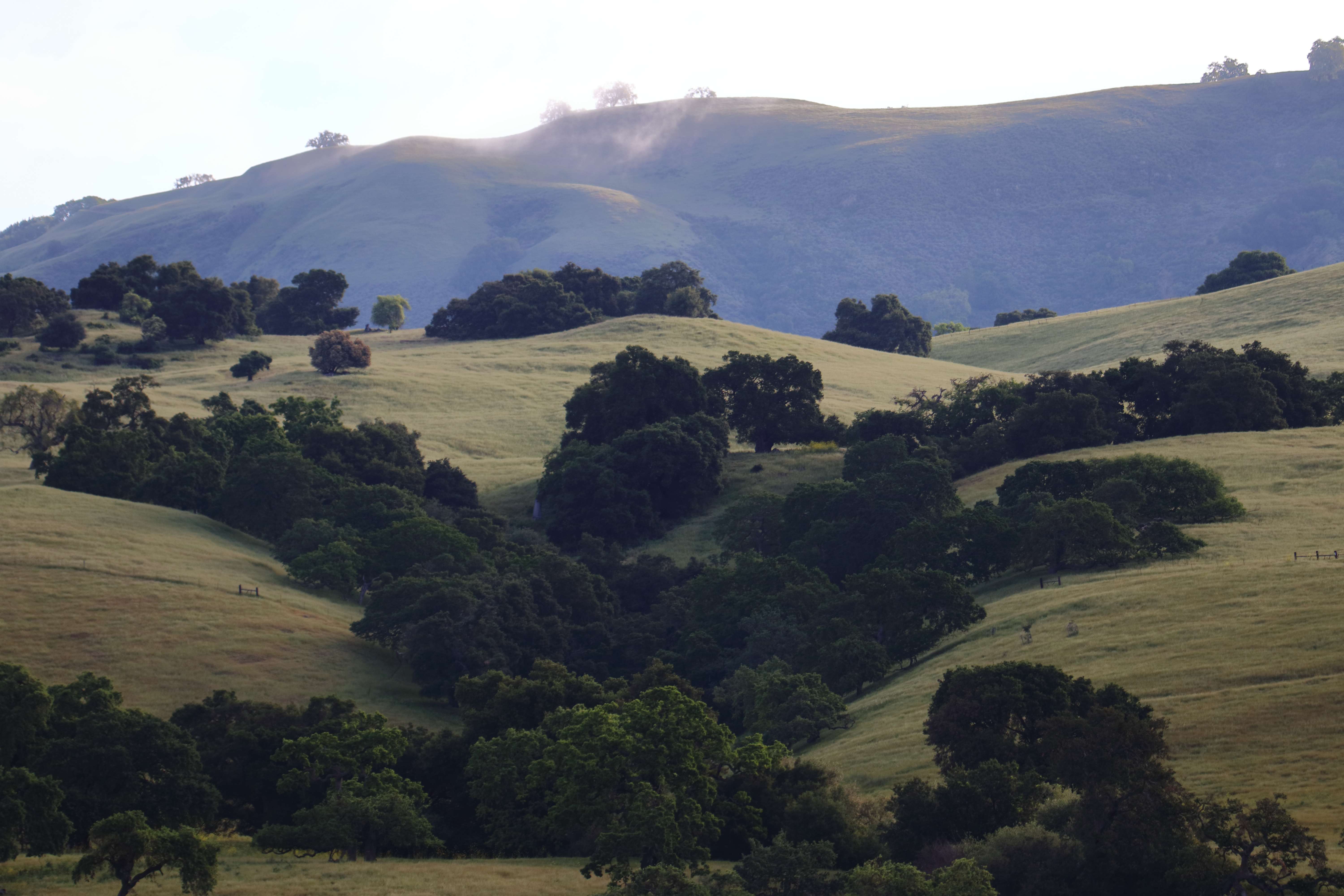 Coyote Lake County Park
