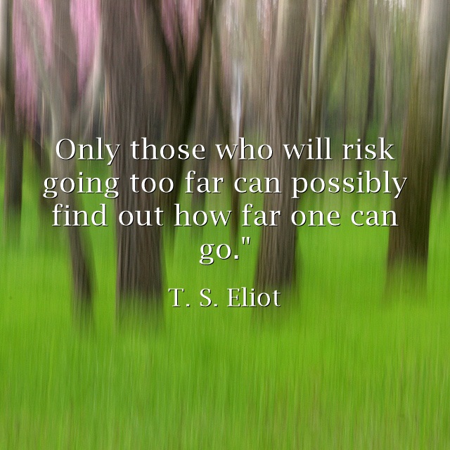 Only those who will risk going too far can possibly find out how far one can go. T. S. Eliot quote