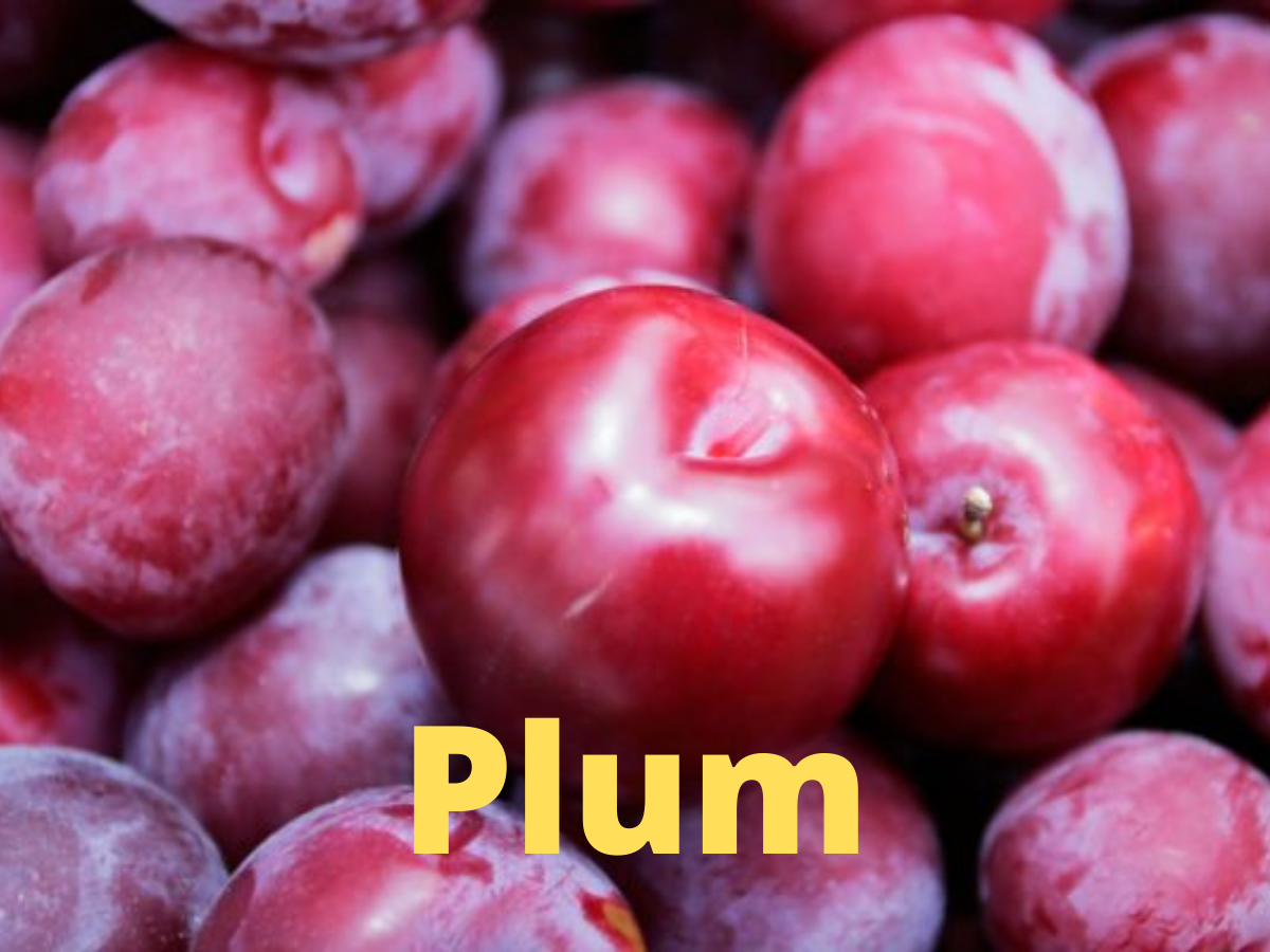 How To Check Diabetes And Obesity With Help Of Most Powerful Fruit