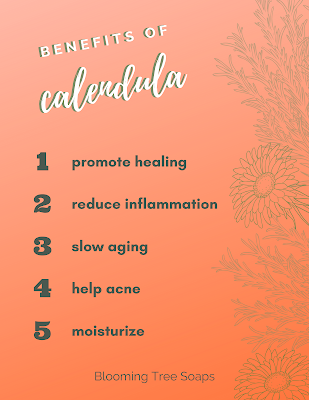 Lit of the benefits of calendula
