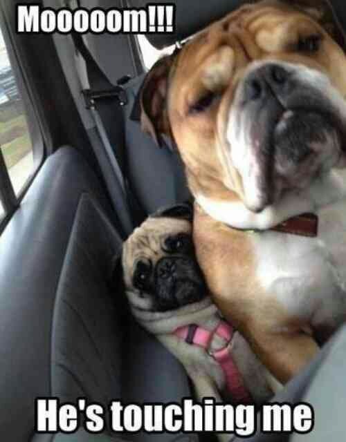 National Siblings Day Memes National Siblings Day Memes