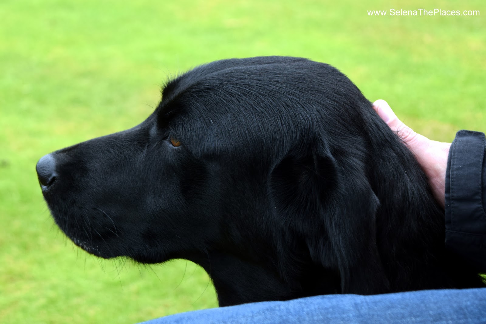 Oh, the places we will go! Chobham Show 2016