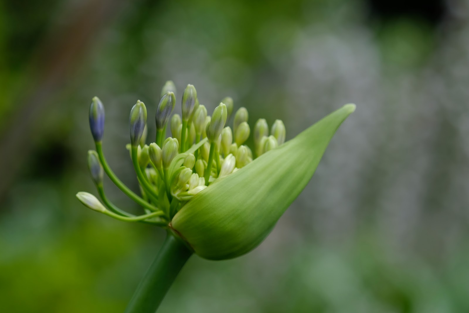 DSCF3070.JPG