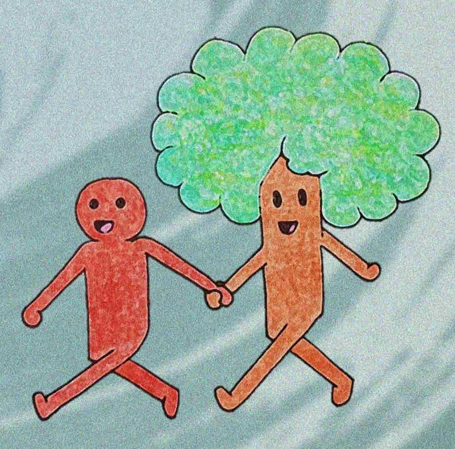 why plant trees how to survive death become immortal philosophy science why plant trees how to survive death become immortal philosophy science