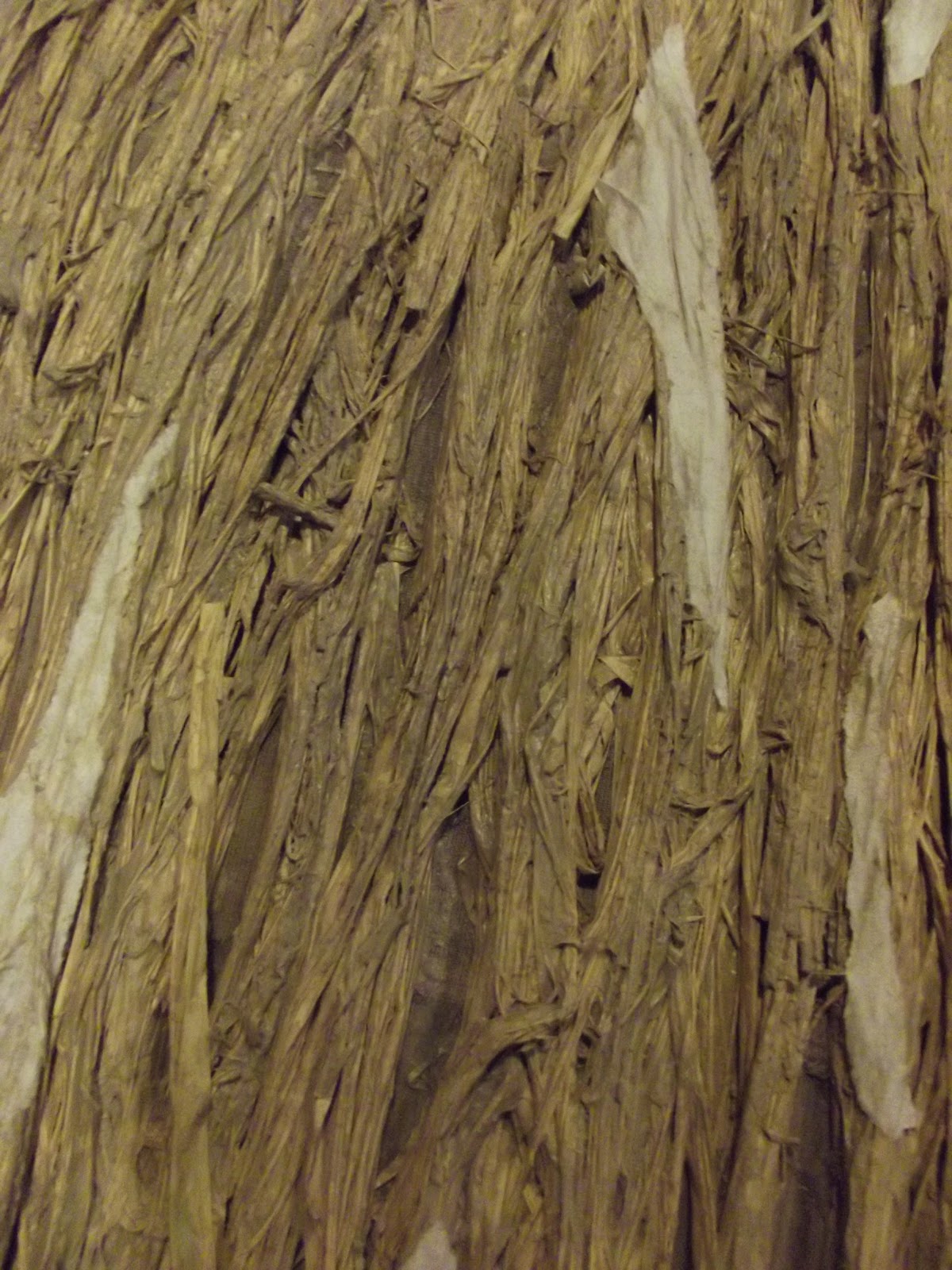 Scenic Artistry: Tree Bark