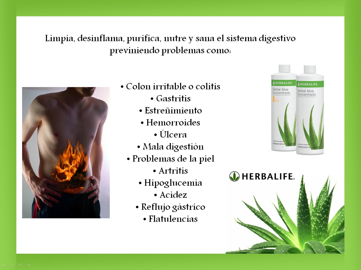HERBALIFE enero 2013