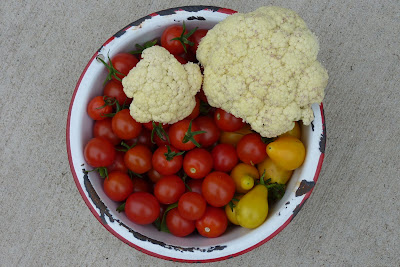 Sue's Garden Journal: 2011