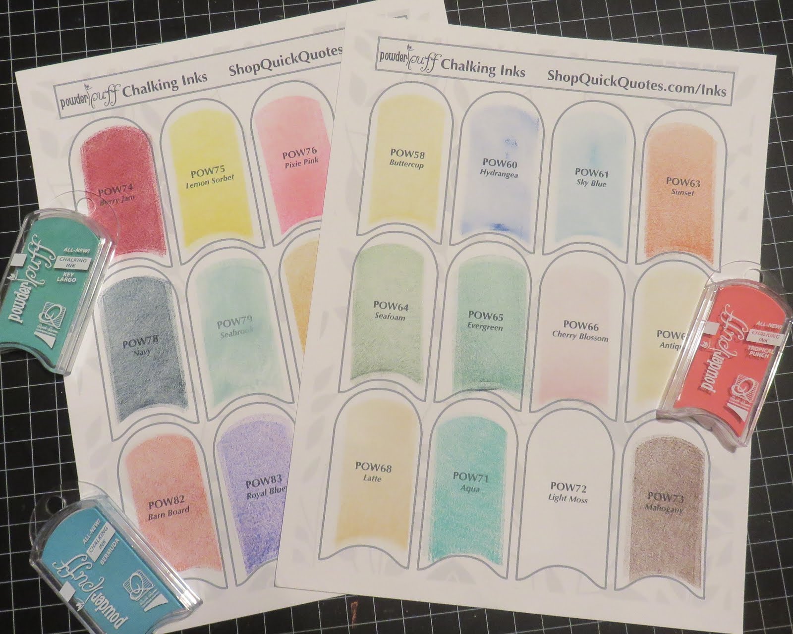 Super Stick Chick Keeping PowderPuff Chalking Inks Organized