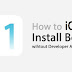 How to Install iOS 11.3 Beta Without Developer Account and Apple UDID - Tutorial