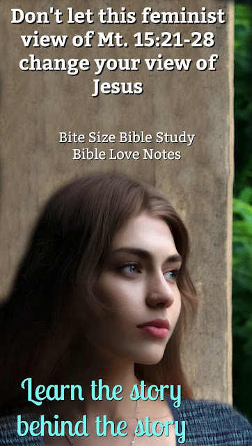 Matthew 15:21-28 can be a difficult passage to understand. This short Bible study allows us to look between the lines and see a most wonderful message. #BibleStudy #Bible #BiteSizeBibleStudy
