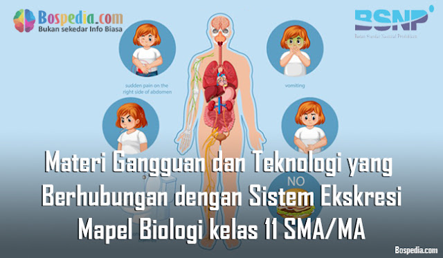 Materi Gangguan dan Teknologi yang Berhubungan dengan Sistem Ekskresi Mapel Biologi kelas 11 SMA/MA