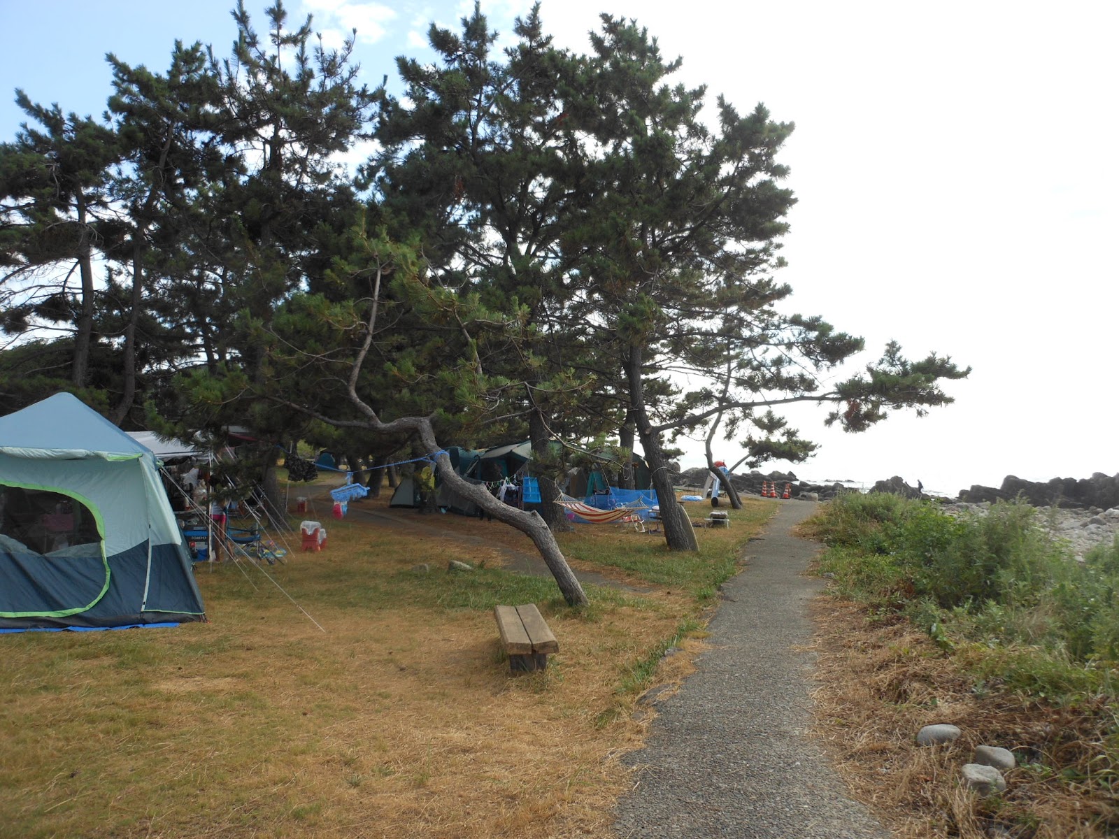 like a jetsetter 実際訪れた 無料 格安キャンプ場 独断と偏見のレポート