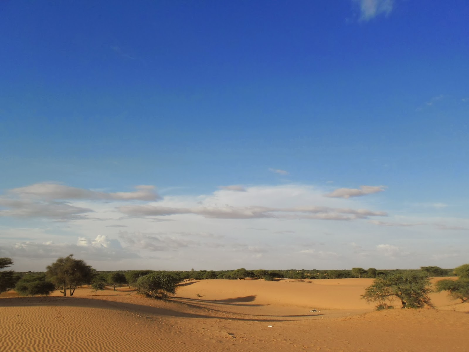 تخوم قرية المبروك التابعة لبلدية تكنت - بكاميرا مجلة صدى المبروك