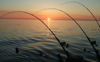 تفسير رؤية صيد السمك في الحلم