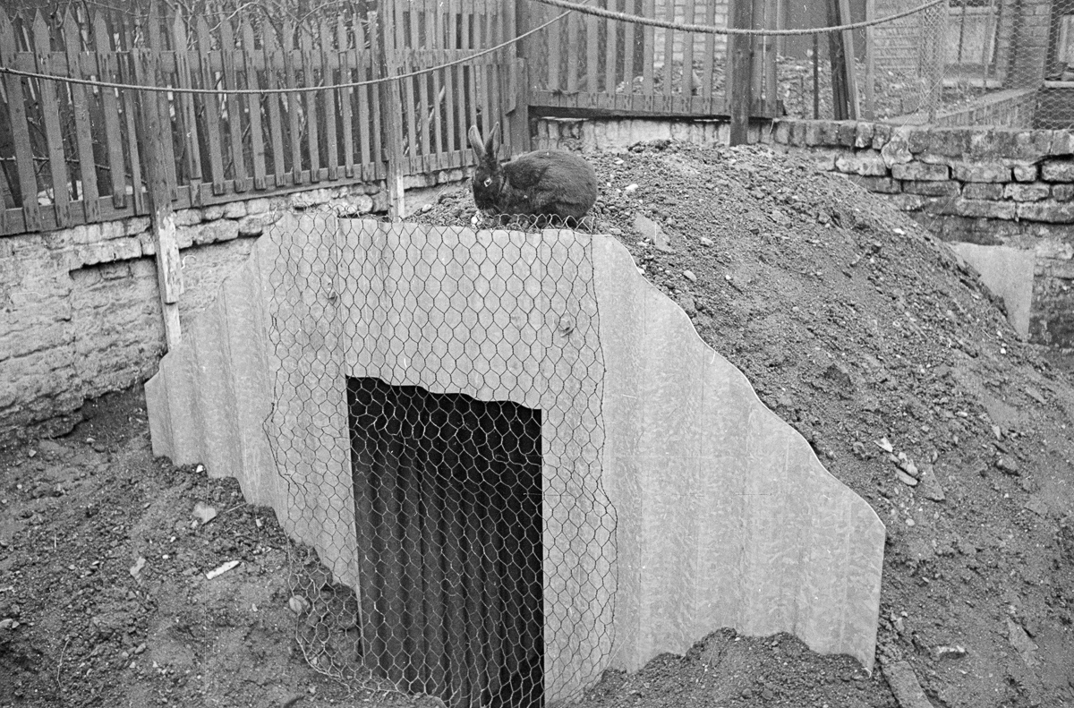 Backyard Bunkers Of The Blitz Pictures Of How London Families Lived In backyard-bunkers-of-the-blitz-pictures-of-how-london-families-lived-in
