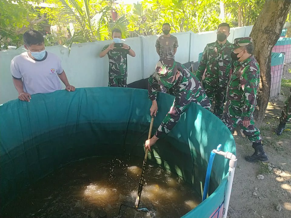 Korem 163 Wira Satya Panen 3000 Ekor Lele, Program Ketahanan Pangan