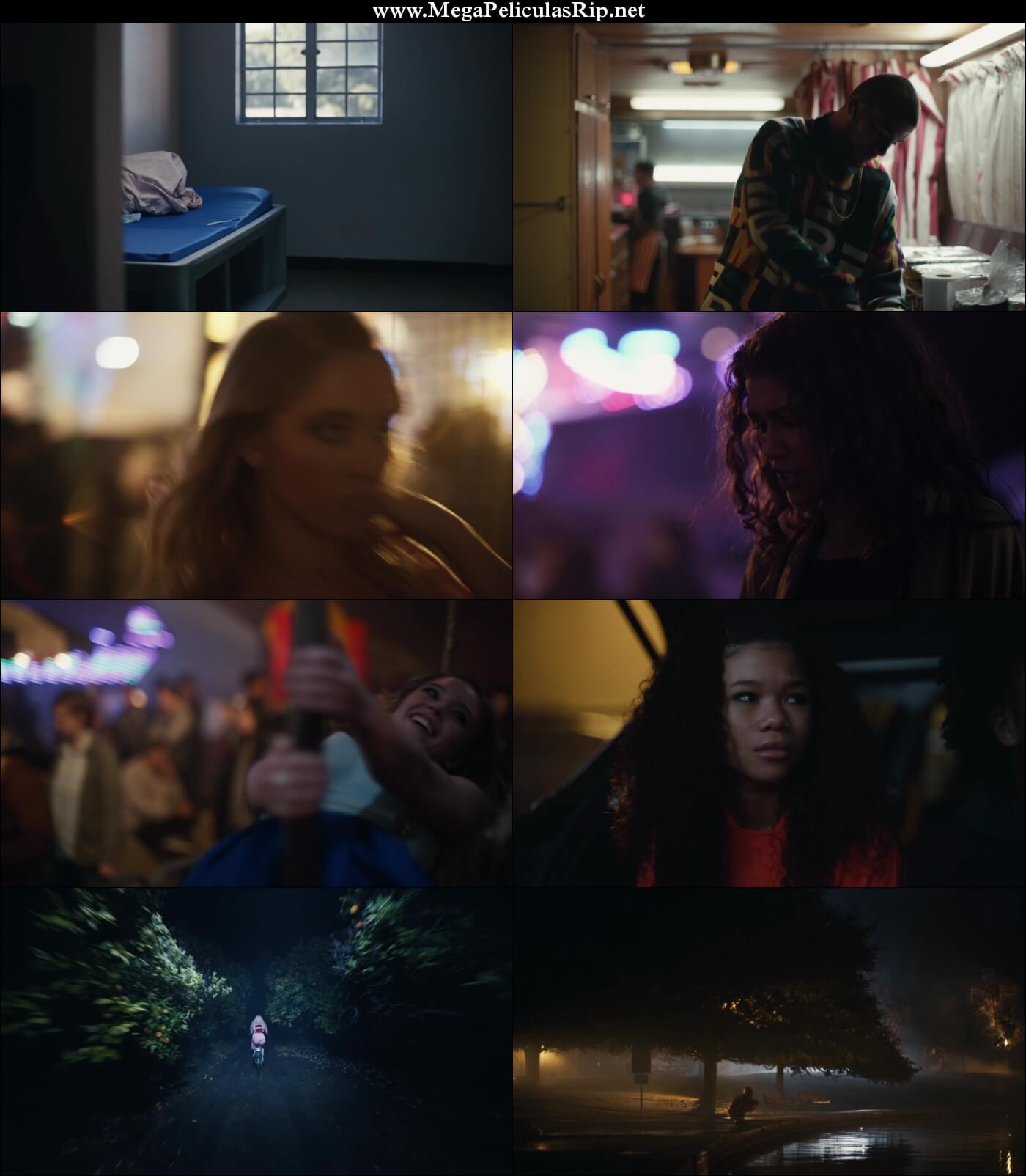 Euphoria Temporada 1 1080p Latino