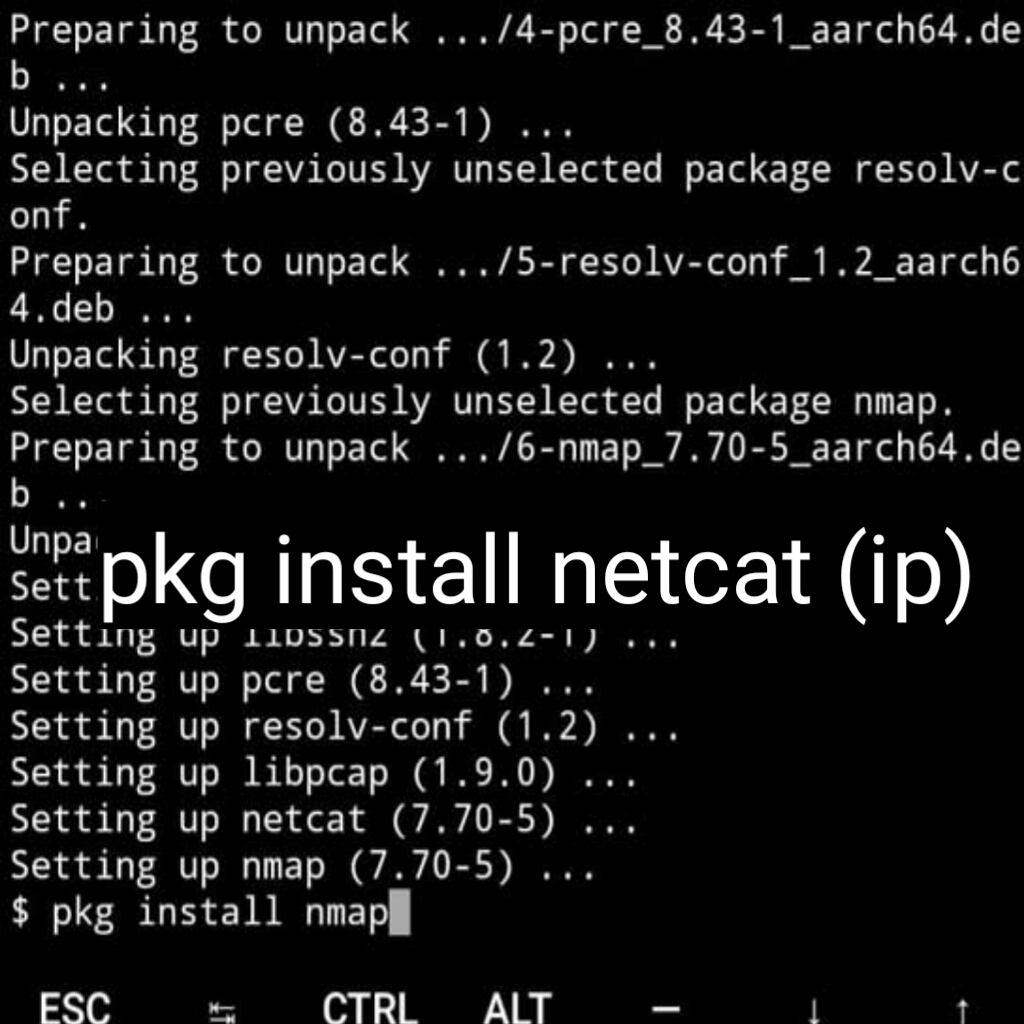 Basic Commands in Termux