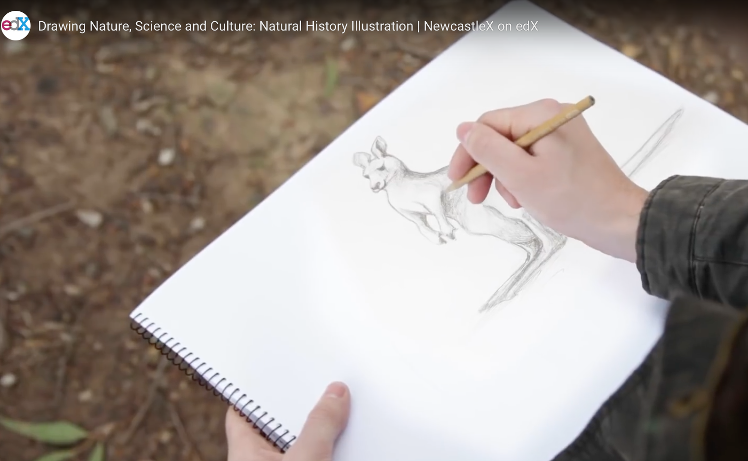 natural history michael runtz ebook torrents natural history michael runtz ebook torrents