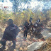 Operación Conjunta Michoacán destruye campamento relacionado en actividades ilícitas