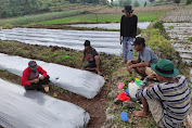 Pertahankan Nilai Gotong Royong, Pemuda Petani Bonto Daeng Saling Membantu