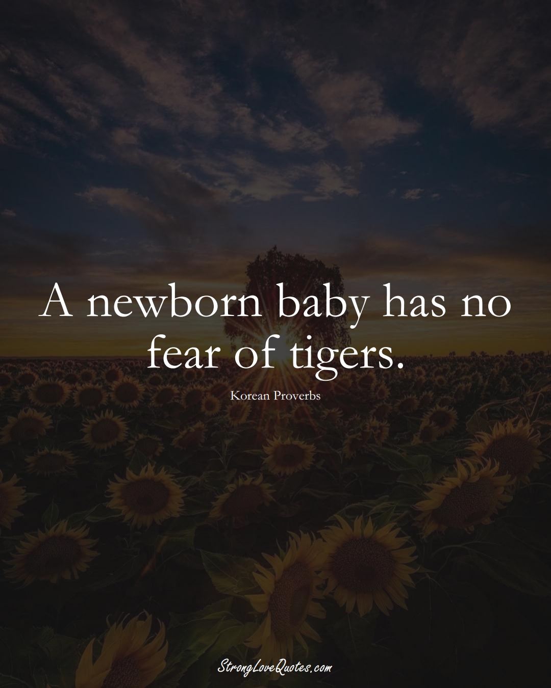 A newborn baby has no fear of tigers. (Korean Sayings);  #AsianSayings