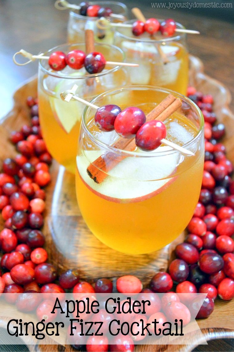 Joyously Domestic Apple Cider Ginger Fizz Cocktail