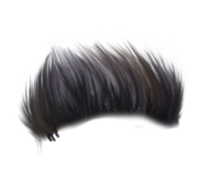 Top 200 Hair Png Download All New Cb Hairstyle Png For Picsart