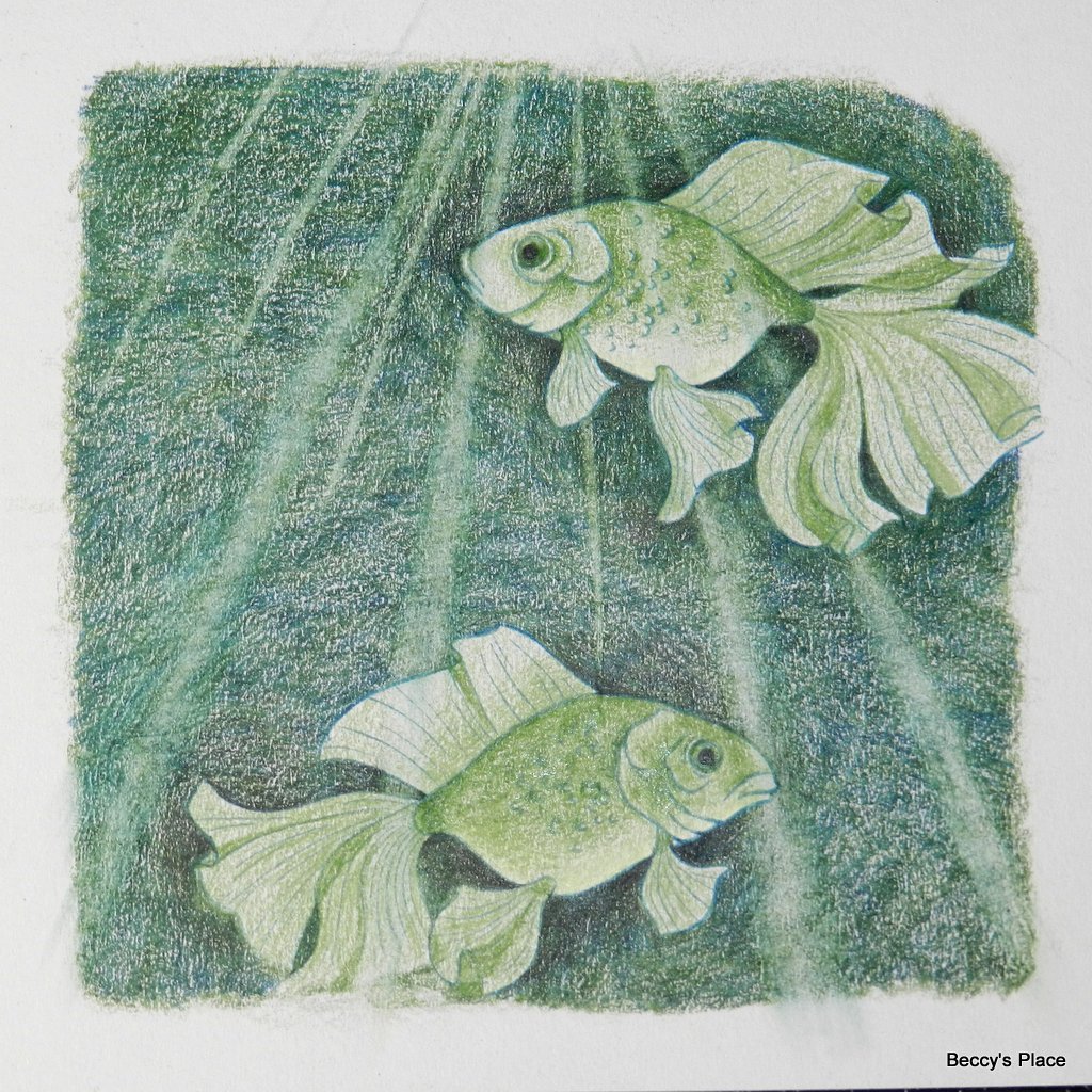 Beccy's Place: Light Through Water